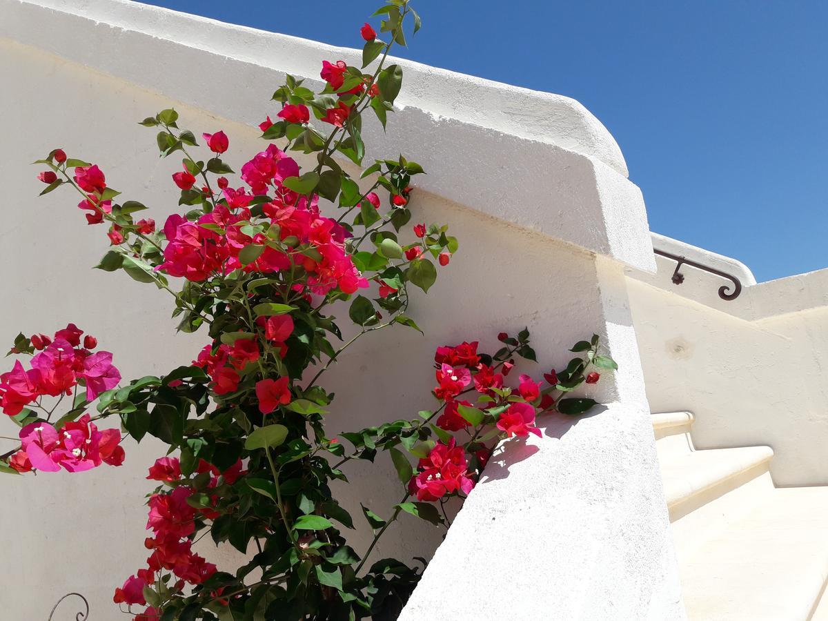 Masseria Almadava Polignano a Mare Exteriér fotografie