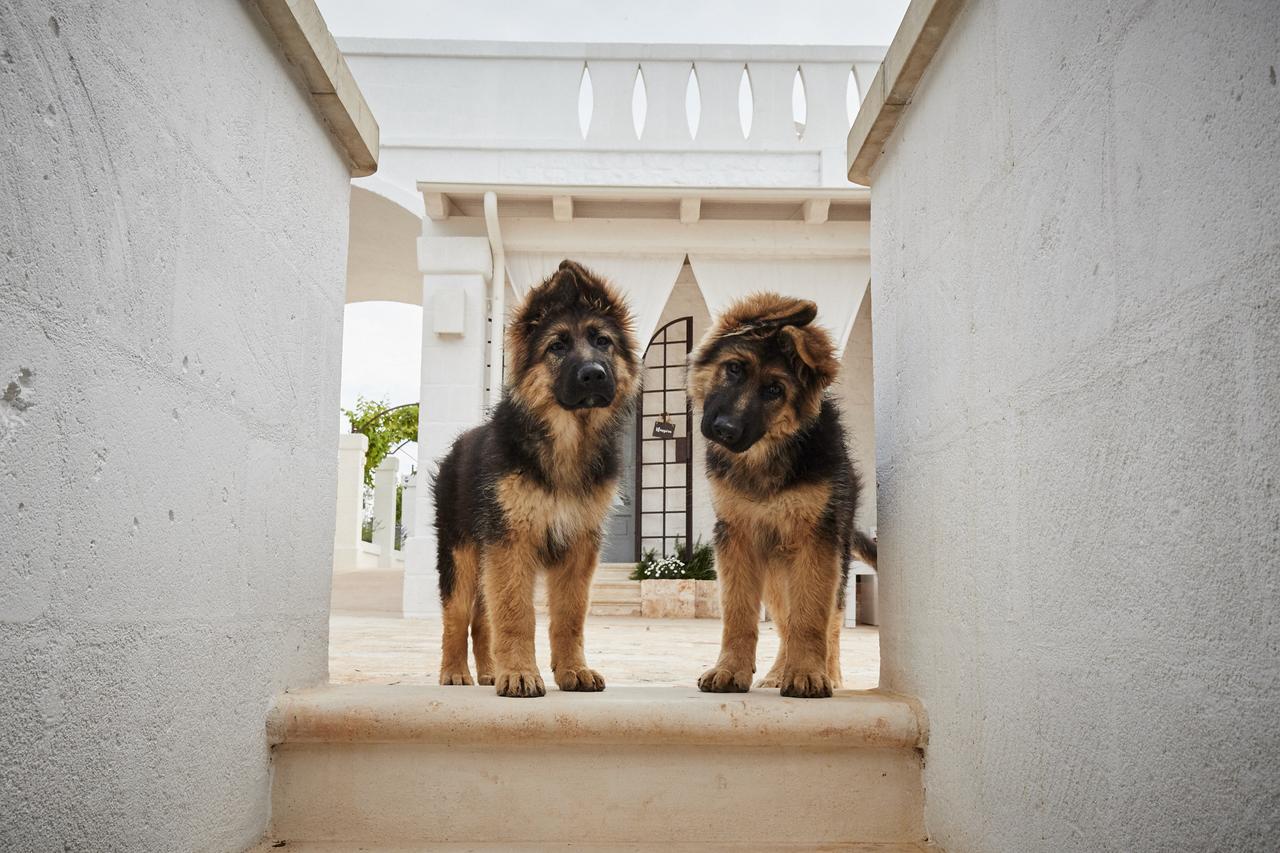 Masseria Almadava Polignano a Mare Exteriér fotografie